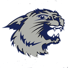 Dougherty Valley logo