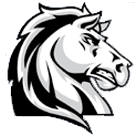 King City logo