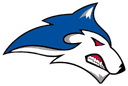 Fortuna logo