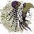 Soledad logo