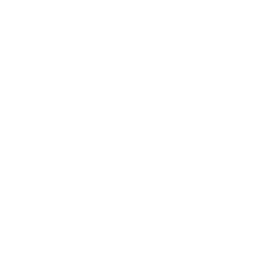 Rise University Prep logo