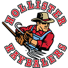 Hollister logo