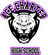 Ace Charter School logo